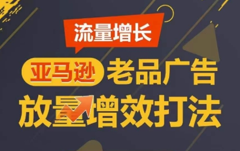 流量增长 亚马逊老品广告放量增效打法,短期内广告销量翻倍_拾壹资源网
