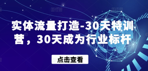 实体流量打造-30天特训营,30天成为行业标杆_拾壹资源网