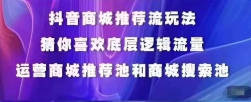 抖音商城运营课程，猜你喜欢入池商城搜索商城推荐人群标签覆盖_拾壹资源网