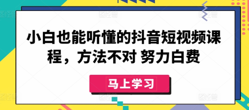小白也能听懂的抖音短视频课程，方法不对 努力白费_拾壹资源网