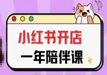 三九小红书开店一年陪伴课(更新)，从0到1玩赚小红书开店_拾壹资源网