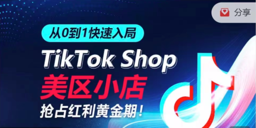 从0到1快速入局TikTok美区小店,快速抢占流量黄金期,开启日出千单之旅_拾壹资源网