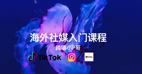 跨境小P哥海外社媒运营课,理论+演练,全流程_拾壹资源网