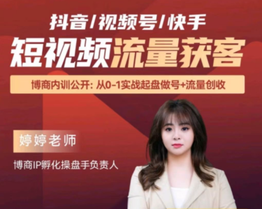 婷婷老师-三大平台抖音/视频号/快手短视频流量获客_拾壹资源网