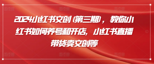2024小红书文创(第三期)，教你小红书如何养号和开店，小红书直播带货卖文创等_拾壹资源网