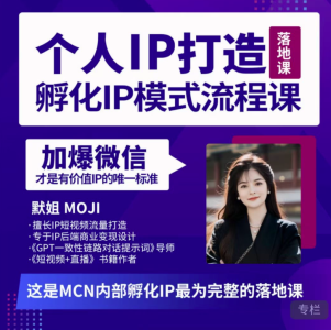 默姐·老板商业IP孵化流程课，30天IP出圈计划，完整的个人IP短视频落地课程_拾壹资源网