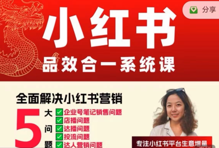 Dian品牌营销-小红书品效合一系统教学, 0~1阶段小红书新品投放方法论_拾壹资源网