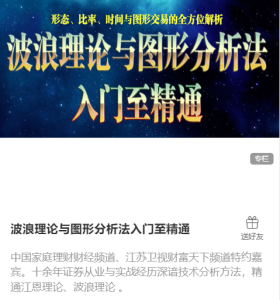 陈译辉-波浪理论与图形分析法入门至精通_拾壹资源网