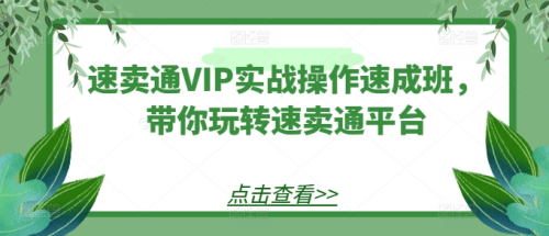 速卖通VIP实战操作速成班,带你玩转速卖通平台_拾壹资源网
