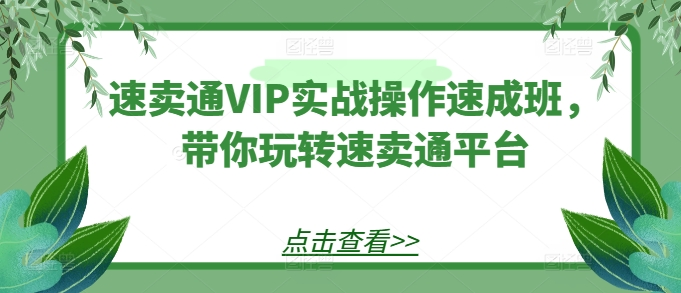 图片[1]_速卖通VIP实战操作速成班，带你玩转速卖通平台