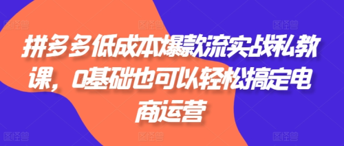 拼多多低成本爆款流实战私教课,0基础也可以轻松搞定电商运营_拾壹资源网
