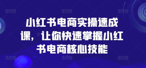 小红书电商实操速成课,让你快速掌握小红书电商核心技能_拾壹资源网