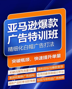 亚马逊爆款广告特训班，快速掌握亚马逊关键词库搭建方法，有效优化广告数据并提升旺季销量_拾壹资源网