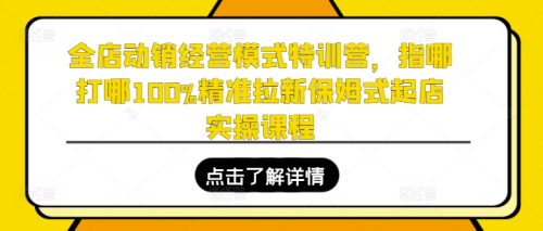 全店动销经营模式特训营,指哪打哪100%精准拉新保姆式起店实操课程_拾壹资源网