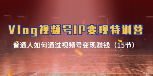 Vlog视频号IP变现特训营,普通人如何通过视频号变现赚钱(15节)_拾壹资源网