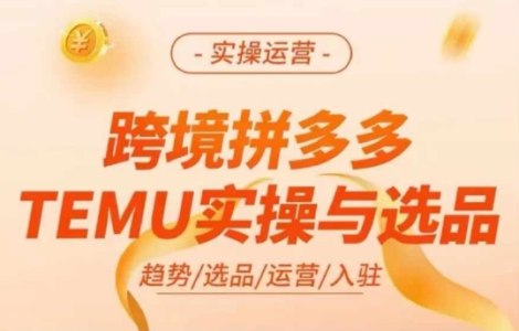 跨境拼多多TEMU实操与选品，多多temu跨境选品运营实操_拾壹资源网