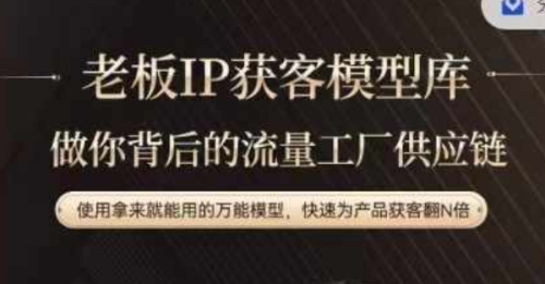 老板IP流量供应链,动作越少,账号越好,使用拿来就能用的万能模型,快速为产品获客翻N倍_拾壹资源网