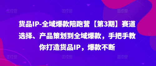 货品IP全域爆款陪跑营【第3期】赛道选择、产品策划到全域爆款,手把手教你打造货品IP,爆款不断_拾壹资源网