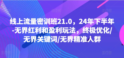 线上流量密训班21.0,24年下半年-无界红利和盈利玩法,终极优化/无界关键词/无界精准人群_拾壹资源网