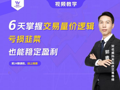 6天掌握交易量价逻辑，亏损韭菜也能稳定盈利 | 威科夫6天交易小白课_拾壹资源网
