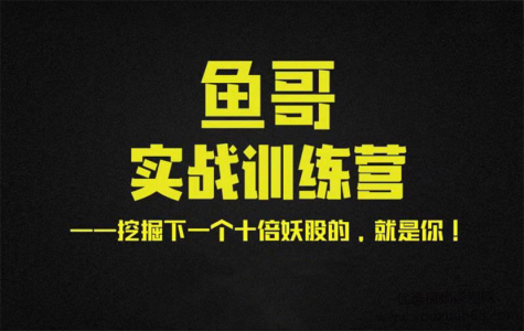 鱼哥实战超短训练营视频+讲义_拾壹资源网