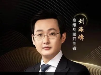 刘海峰:高维战略必修课(34节)_拾壹资源网