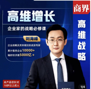 刘海峰高维增长：企业家的战略必修课_新版 （20节）_拾壹资源网