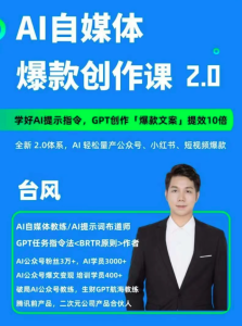 AI自媒体提示词进阶课2.0,14天用GPT创作爆款内容提效10倍_拾壹资源网