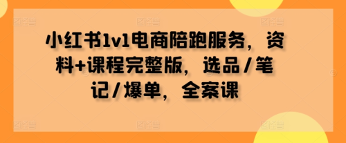 红书1v1电商陪跑服务,资料+课程完整版,选品/笔记/爆单,全案课_拾壹资源网