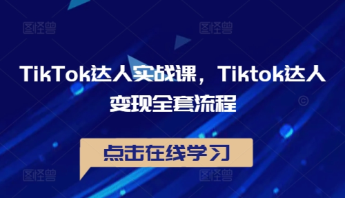 TikTok达人实战课，Tiktok达人变现全套流程_拾壹资源网