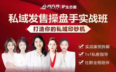 私域发售操盘手实战班，打造你的私域印钞机，实战案例拆解_拾壹资源网