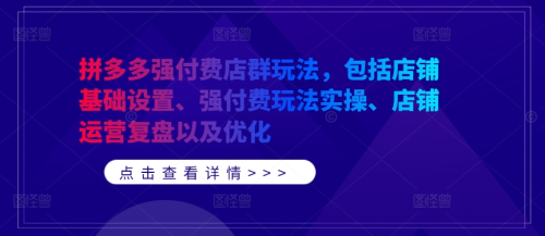 拼多多强付费店群玩法，包括店铺基础设置、强付费玩法实操、店铺运营复盘以及优化_拾壹资源网