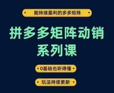 拼多多矩阵动销系列课，能持续盈利的多多矩阵，0基础也听得懂，玩法持续更新_拾壹资源网