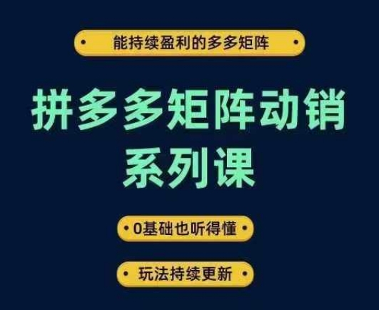 图片[1]_拼多多矩阵动销系列课，能持续盈利的多多矩阵，0基础也听得懂，玩法持续更新