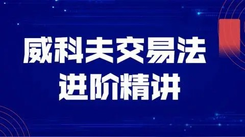飞云金教《威科夫量价分析》_拾壹资源网