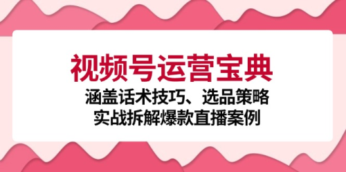 视频号运营宝典：涵盖话术技巧、选品策略、实战拆解爆款直播案例_拾壹资源网