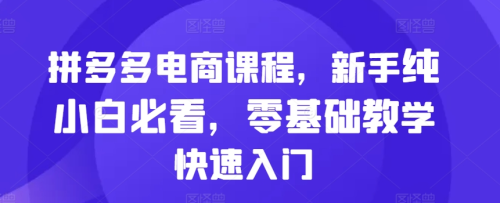 拼多多电商课程，新手纯小白必看，零基础教学快速入门_拾壹资源网