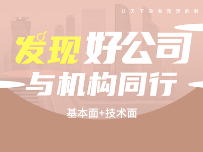 马思南季版-投资策略班基本面+技术面2022_拾壹资源网