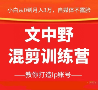 文中野混剪训练营 教你不露脸不直播，通过混剪打造IP账号_拾壹资源网
