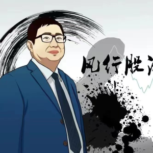 【风行股海】 量价关系精讲-风行股海 2024视频课程_拾壹资源网