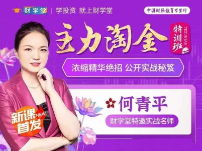 【何青平】主力淘金特训班主力狙击,何青平浓缩精华绝招公开实战秘笈_拾壹资源网