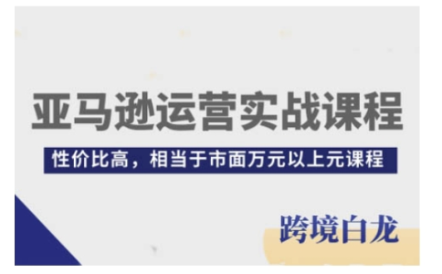 亚马逊运营实战课程,亚马逊从入门到精通,性价比高,相当于市面万元以上元课程_拾壹资源网