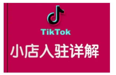 阿华TikTok跨境小店运营全攻略，帮助你独立运营TK跨境小店的能力，实现销量增长_拾壹资源网
