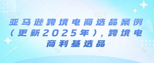 阿甘亚马逊跨境电商选品案例(更新2025年)，跨境电商利基选品_拾壹资源网