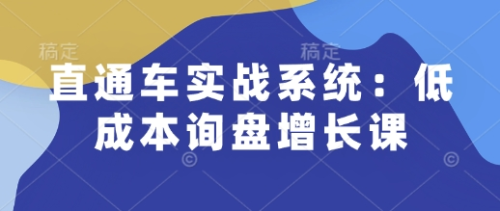 直通车实战系统：低成本询盘增长课，让个人通过技能实现升职加薪，让企业低成本获客，订单源源不断_拾壹资源网