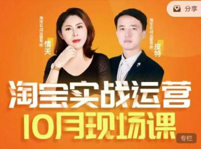2024年10月份淘宝全套运营现场课程，淘系电商运营必学_拾壹资源网