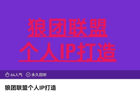 狼团联盟个人IP打造,个人IP变现全攻略:私域运营,微信技巧,公众号运营一网打尽,助力品牌推广_拾壹资源网