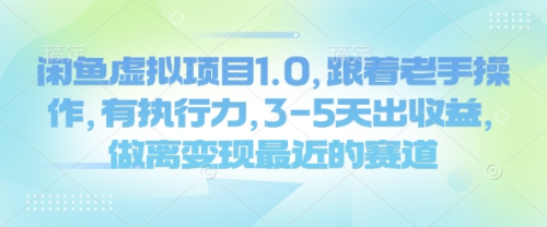 闲鱼虚拟项目1.0，跟着老手操作，有执行力，3-5天出收益，做离变现最近的赛道_拾壹资源网