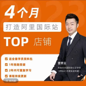曾祥云4个月打造阿里国际站TOP店铺，懂逻辑，精分析，会规划，快速提升询盘量_拾壹资源网