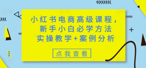 小红书电商高级课程,新手小白必学方法,实操教学+案例分析_拾壹资源网